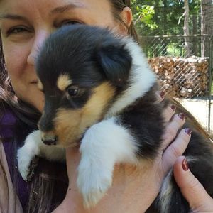 Meet your Posher, Tabitha